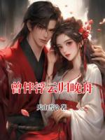 曾伴浮云歸晚舟