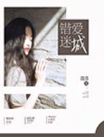 錯(cuò)愛(ài)迷城