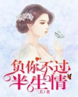 負(fù)你不過半生情