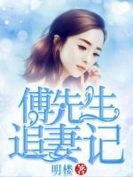 傅先生追妻記