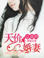 總裁的天價(jià)二婚妻