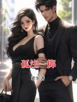 孤注一擲