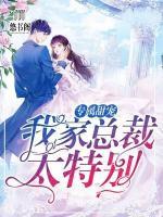 專屬甜寵：我家總裁太特別