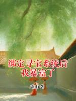 綁定尋寶系統(tǒng)后我暴富了