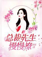 總裁先生慢慢撩