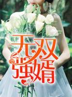 無雙強(qiáng)婿