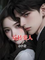 反轉(zhuǎn)愛人