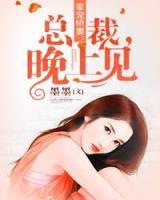 蜜寵嬌妻：總裁，晚上見