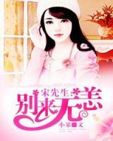 宋先生：別來無恙