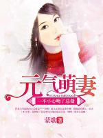 元氣萌妻：一不小心吻了總裁