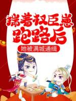 穿成奸相寡嫂
