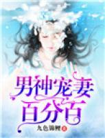 男神寵妻百分百