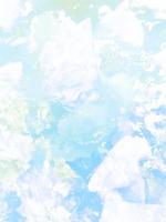 新舍友是多莉