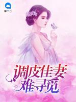 調(diào)皮佳妻難尋覓
