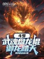 斗羅：武魂盤龍棍，御龍?zhí)ぬ?>
                    <a href=