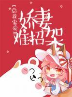總裁索愛：嬌妻難招架