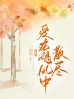 愛在颶風中散盡