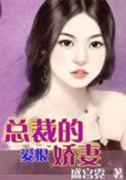 總裁的愛恨嬌妻