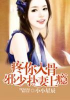 疼你入骨：邪少撲妻上癮