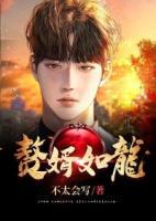 贅婿如龍