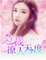 總裁撩人無度