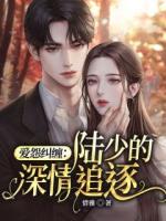 愛怨糾纏：陸少的深情追逐