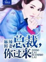 麻辣鮮妻：總裁，你過來