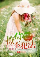 名門(mén)獨(dú)寵，撩你不犯法