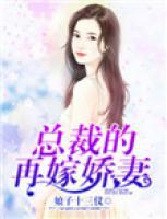 總裁的再嫁嬌妻