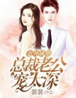 意外成婚：總裁老公寵太深