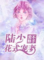 愛不釋手：陸少花式寵妻