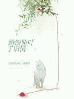 紛紛墜葉了舊情