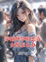 穿越懷孕的惡毒女配怎么辦