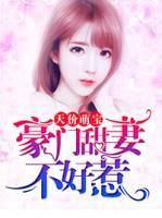 天價萌寶：豪門甜妻不好惹