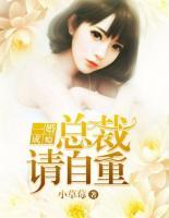 一婚成癮：總裁請(qǐng)自重