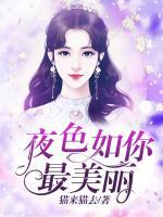 夜色如你，最美麗