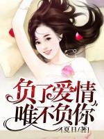 負了愛情，唯不負你