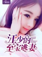 江少的至寶逃妻