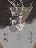 總裁，愛你算我輸