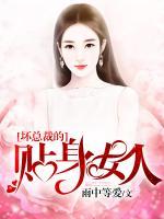 壞總裁的貼身女人