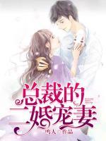 總裁的二婚寵妻