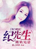 名門婚寵：紀先生別來無恙
