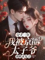 分手三年，我被京圈太子爺誘哄求復(fù)合