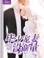 畢少寵妻沒商量