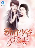 霸道少爺溺寵妻