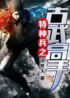 特種兵之古武高手