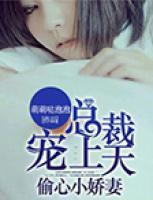 偷心小嬌妻：總裁寵上天