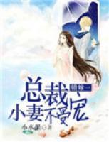 錯(cuò)嫁1：總裁小妻不受寵