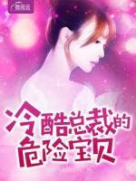 冷酷總裁的危險(xiǎn)寶貝