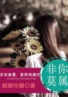 非你莫屬：愛再相遇后